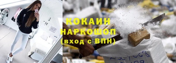 ПСИЛОЦИБИНОВЫЕ ГРИБЫ Богданович