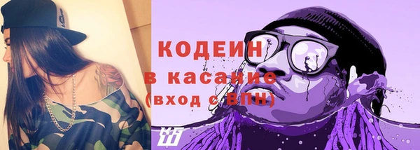 крисы Богородицк