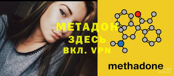 ПСИЛОЦИБИНОВЫЕ ГРИБЫ Богданович