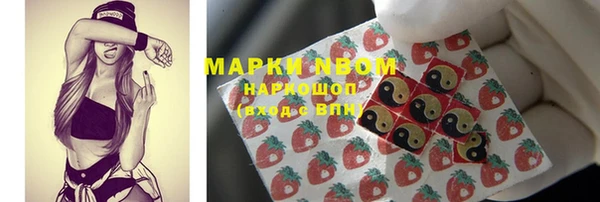 крисы Богородицк