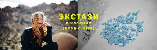 крисы Богородицк