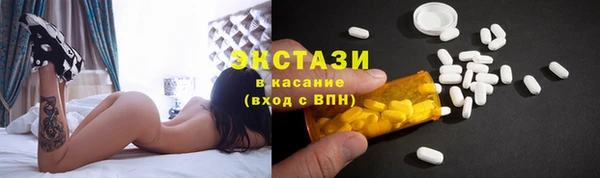 крисы Богородицк