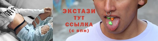 крисы Богородицк