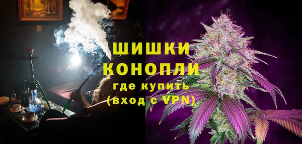 PSILOCYBIN Богородск