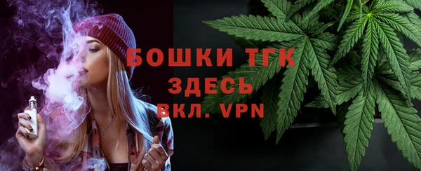 крисы Богородицк